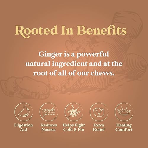 Miniatura 6 de Chimes Ginger Chews, Variedad de 1 libra