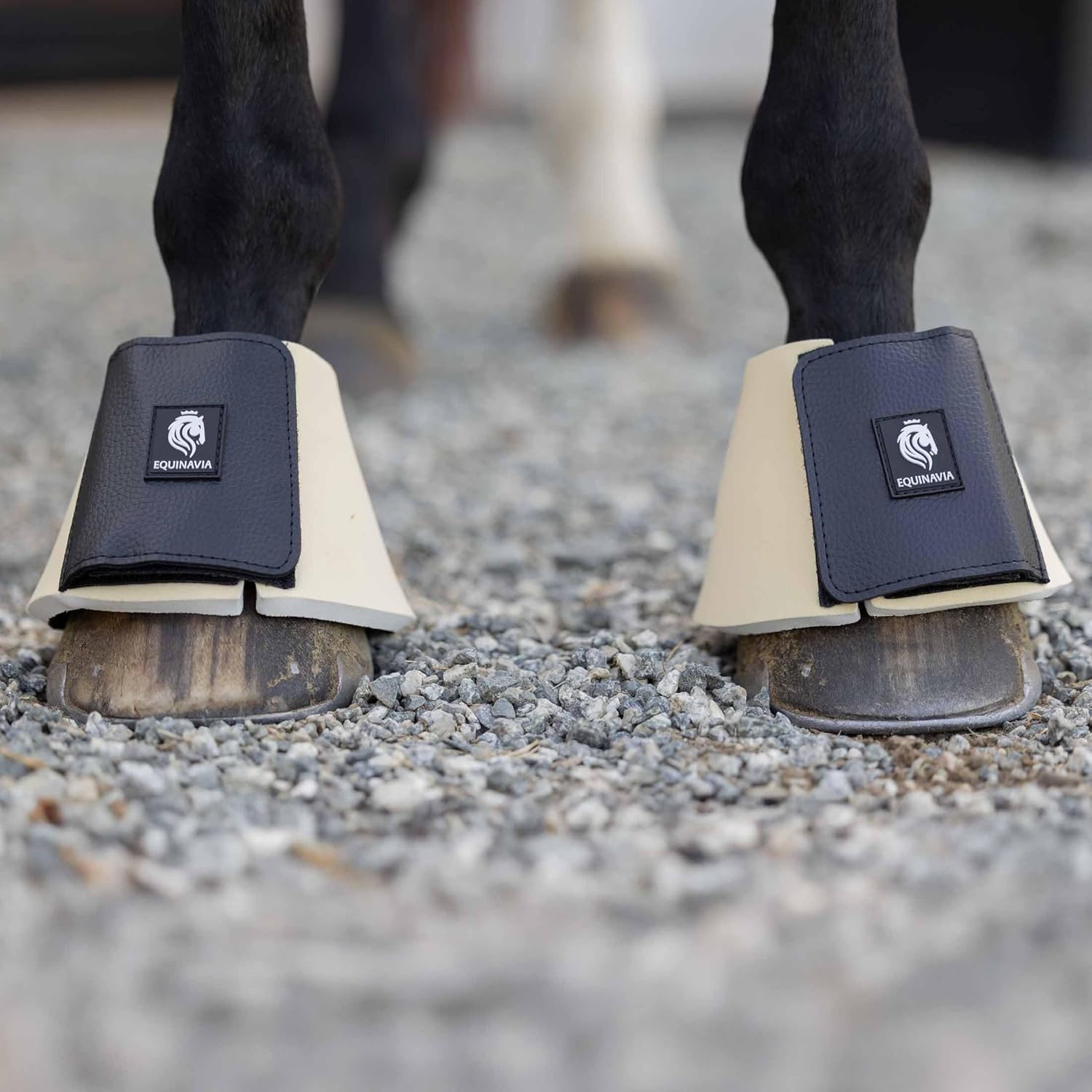 Equinavia Toki Bell Boots for Horses | Neoprene Overreach Boots - French Vanilla - L