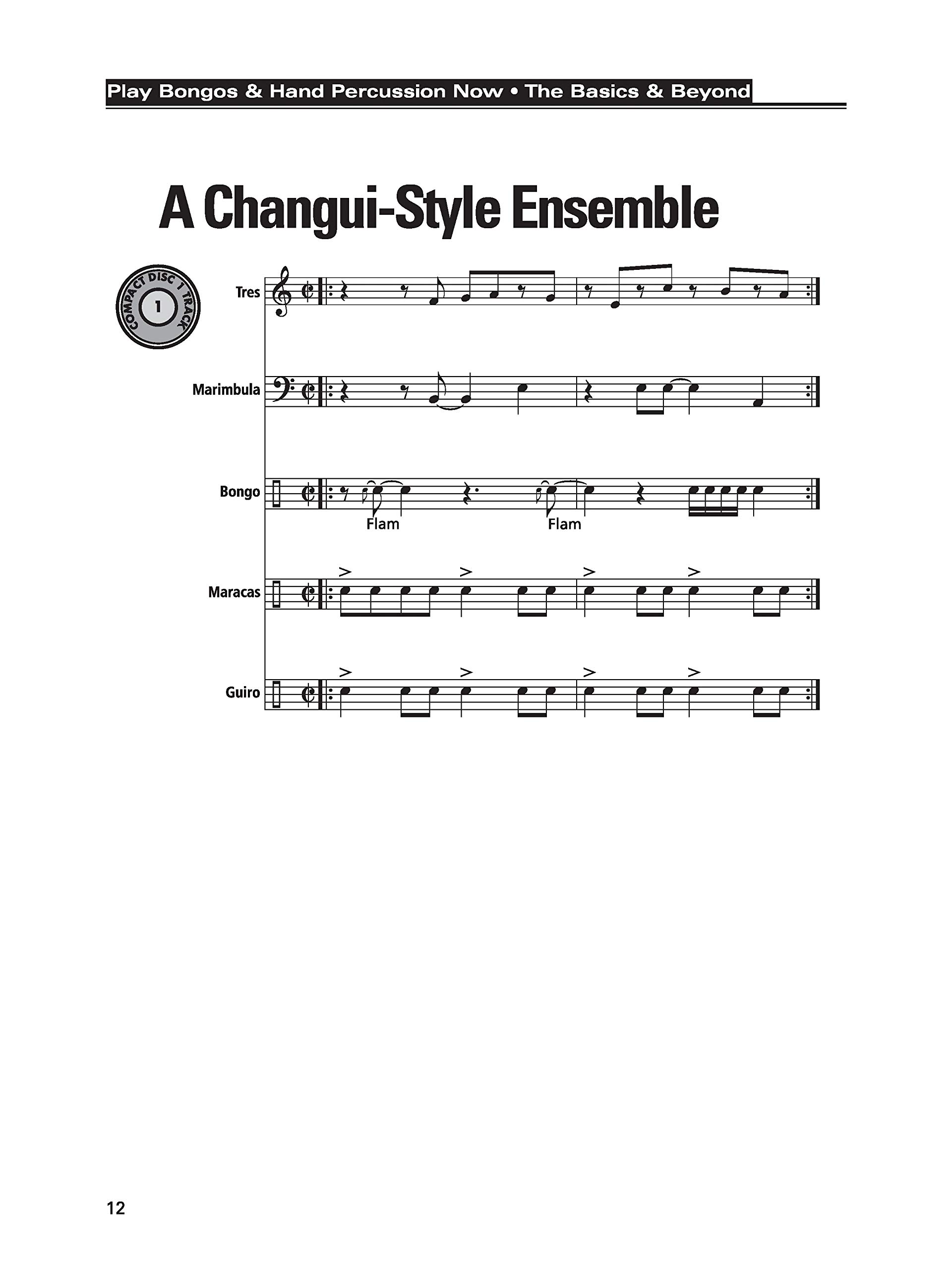 Play Bongos & Hand Percussion Now: The Basics & Beyond