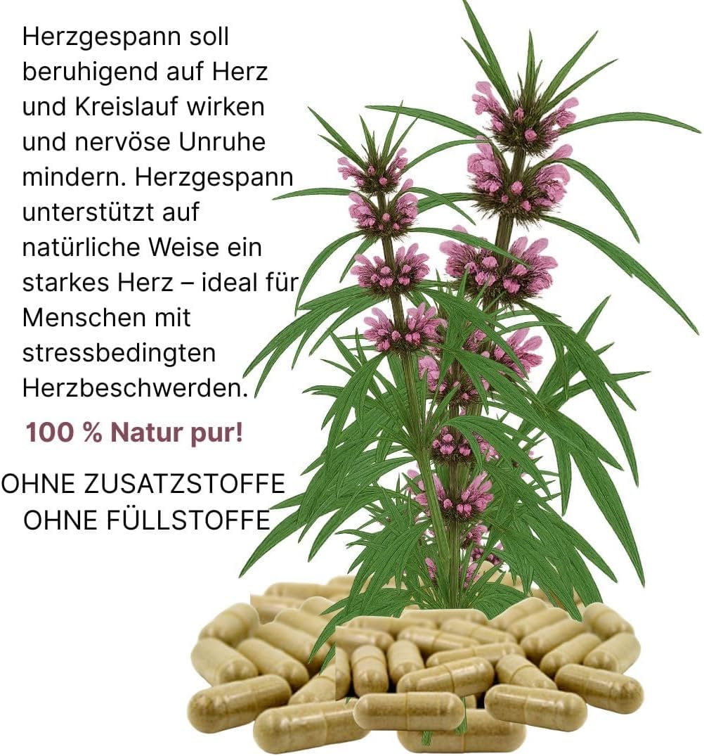Herzgespannkraut 360 Kapseln echtes HERZGESPANN Herz & Kreislauf - Motherwort Herz-Gesund-Kraut nach Hildegard von Bingen. 100% NATUR PUR. Ohne ZUSATZSTOFFE (3x 120 Kapseln). 26865-3
