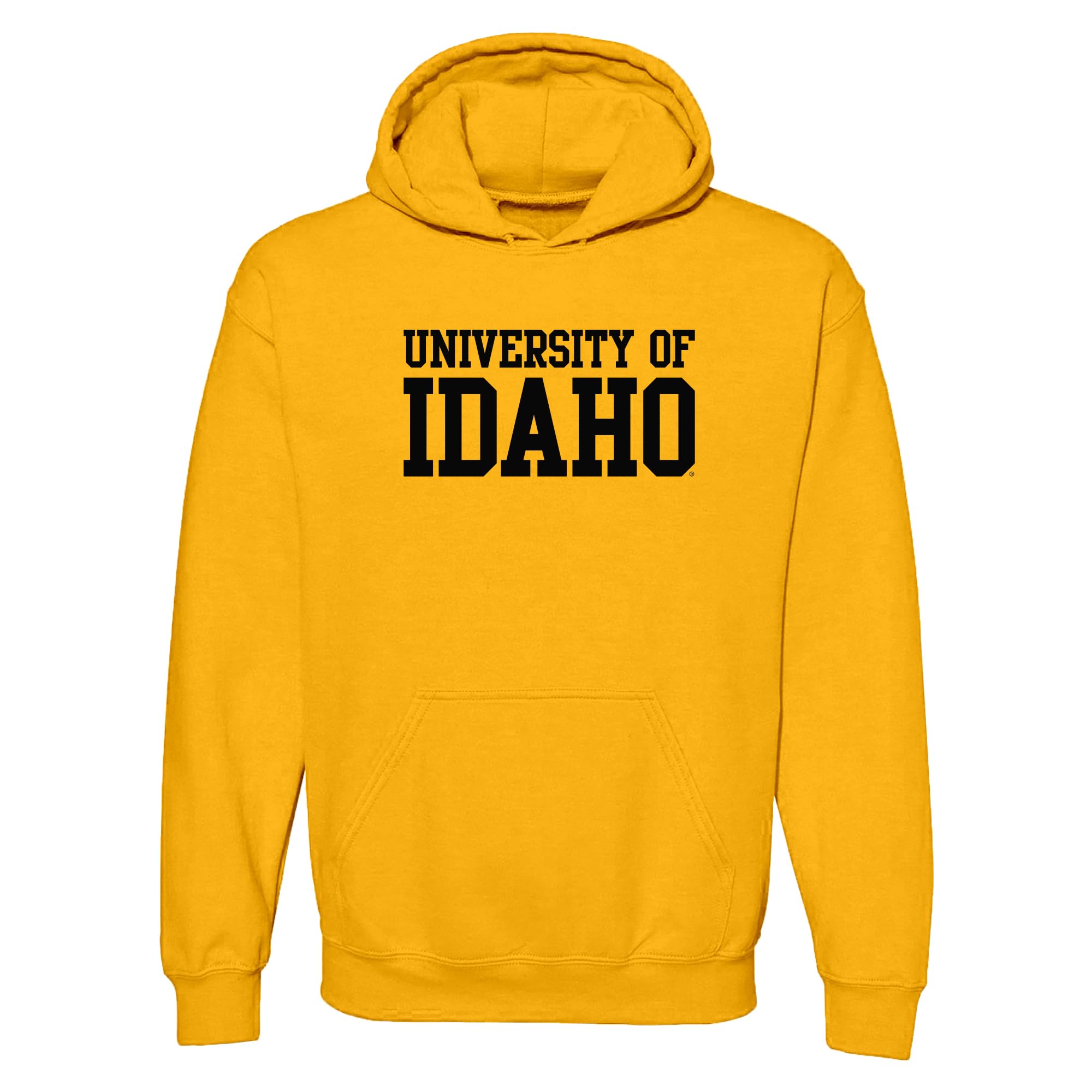 UGP Campus Apparel NCAA Basic Block - University Collegiate Hoodie