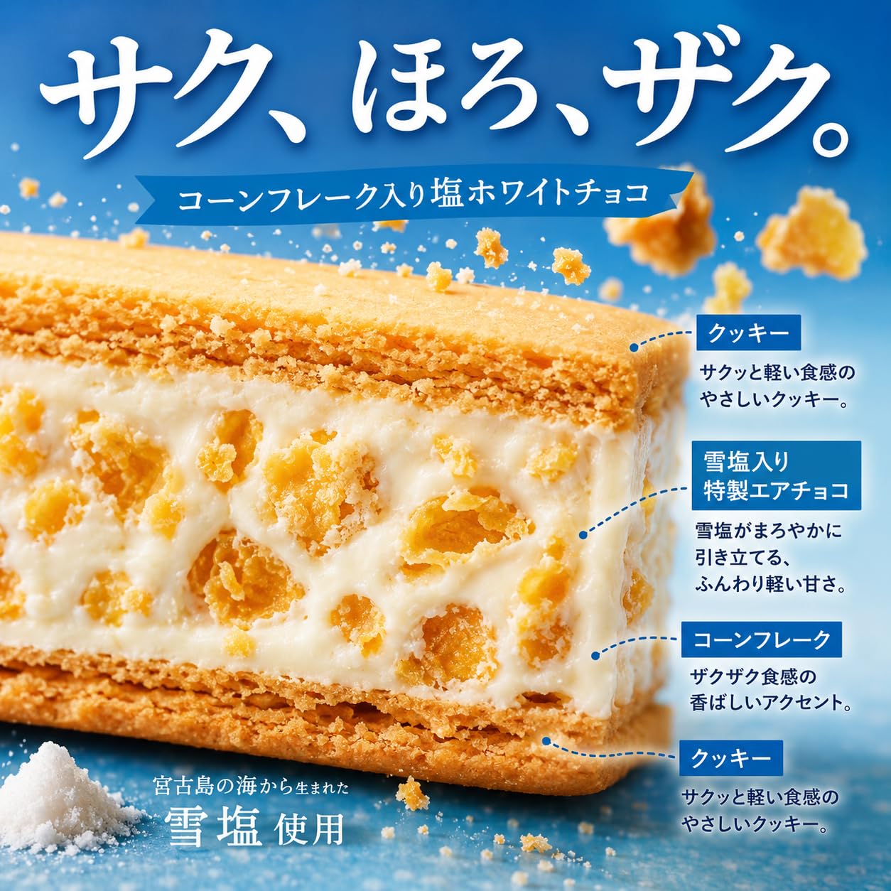 Amazon.co.jp: 【沖縄土産】雪塩さんど 12個入り 宮古島 雪塩 塩