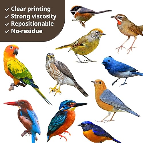 Miniatura 4 de Calcomanías de pared de pájaros 3D realistas, impermeables, de vinilo para decoración de pared, despegar y pegar, calcomanías de pared extraíbles
