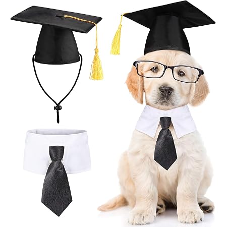 Pet Cat Graduation Cap 