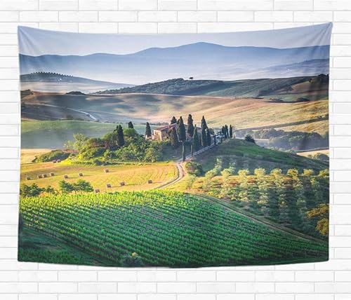 Topyee Home Tapiz decorativo para colgar en la pared, atrapasueños étnico indio de colores con cuentas de plumas de 50 x 60 pulgadas, tapiz de pared