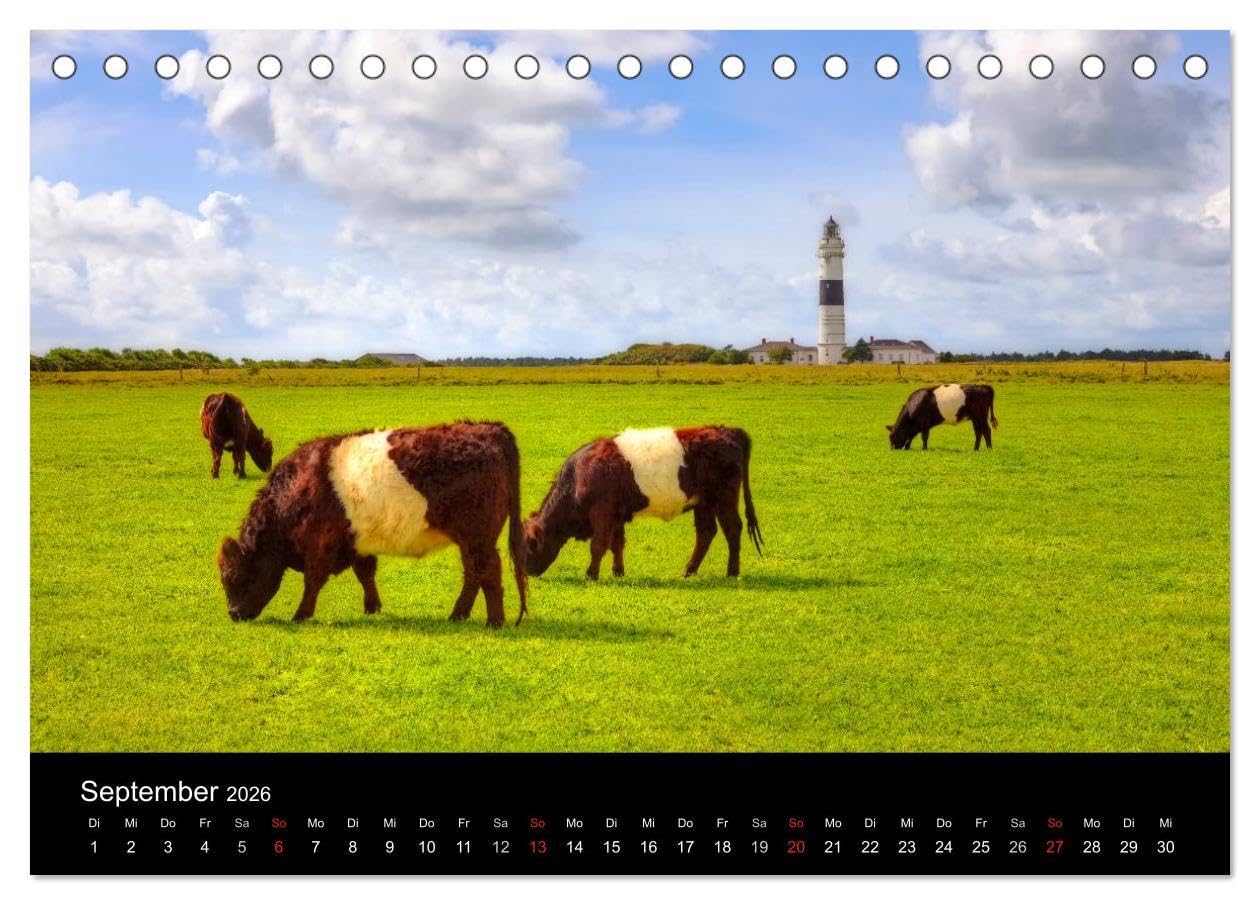 Sylt (Tischkalender 2026 DIN A5 quer), CALVENDO Monatskalender: Dünenlandschaft, wildes Brandungsmeer, sanftes Wattenmeer, reetdachgedeckte ... die schönsten Seiten Sylts. (CALVENDO Natur)