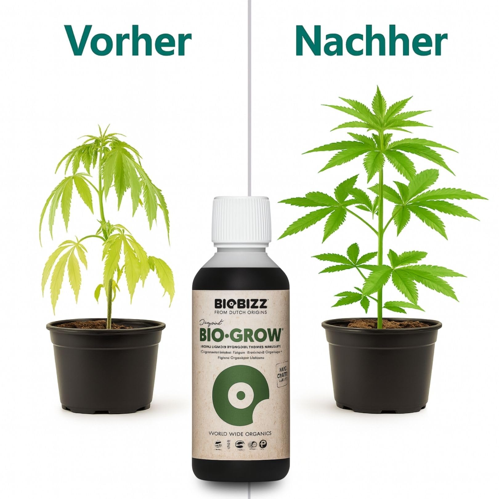 Weedness BioBizz Bio Grow 10 litrów – naturalny nawóz do uprawy pomidorów w płynie orchidee bonsai organiczny NPK