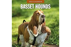 Bassett Hound Calendar 2022: Red Robin Monthly Wall Calendar