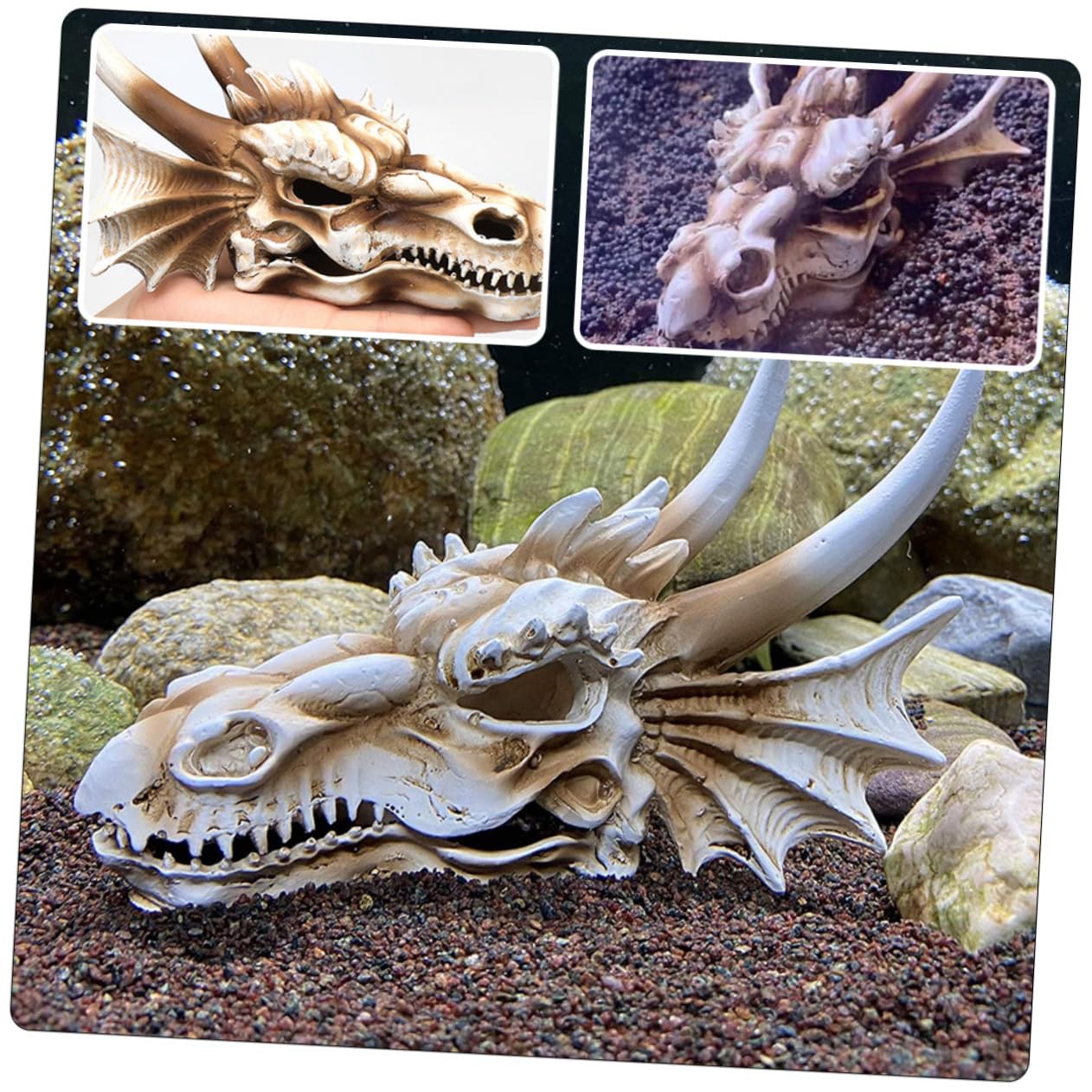 BESPORTBLE Décoration De Crâne De Dinosaure Résine pour Aquarium Accessoire De Paysage Naturel pour Réservoir Eau Et Terrarium Décoratif Et Durable pour Poissons Et Reptiles