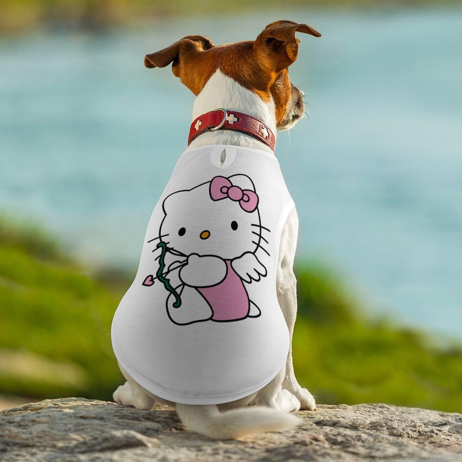 Amazon.co.jp: ペット服 ハローキティ 猫 犬服 ペットウェア T