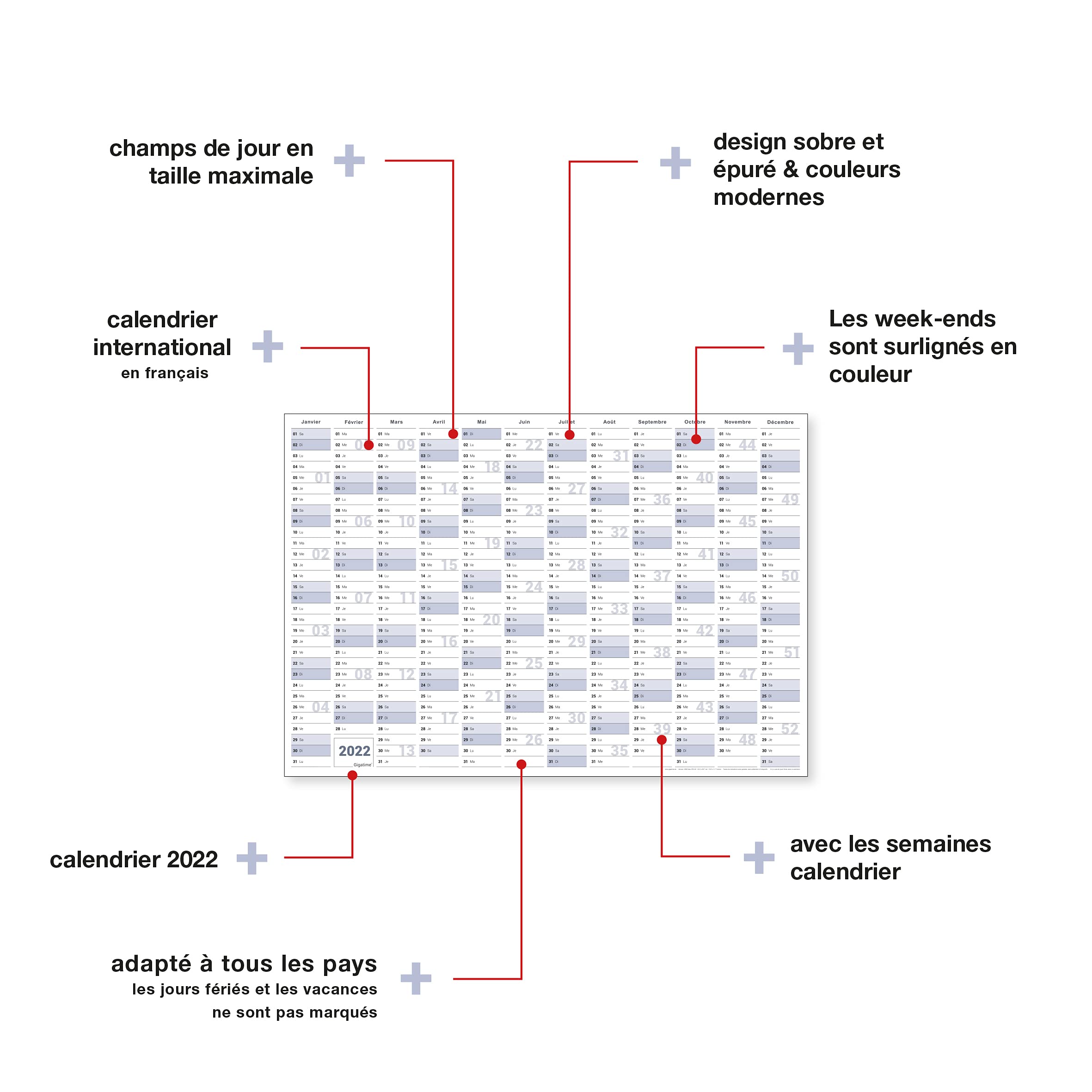 Calendario Planificador Mensual De Pared, Tamaño Grande | Envío Gratis