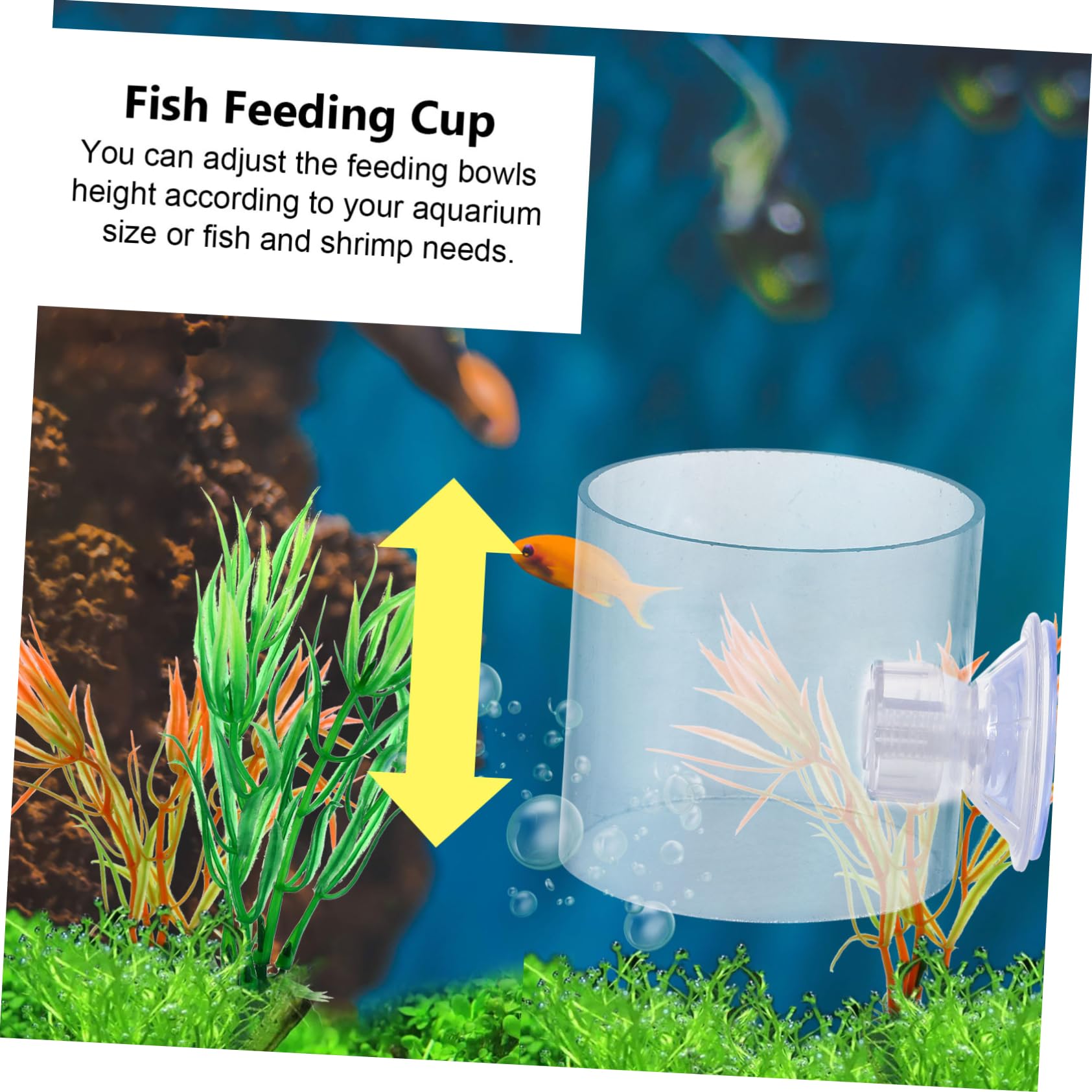 Happyyami 9stücke Fischfutterring Für Aquarien Schwimmende Futterstation Mit Saugnäpfen Für Tropische Fische Futterverschwendung Und Wasserverunreinigung Und Transparent