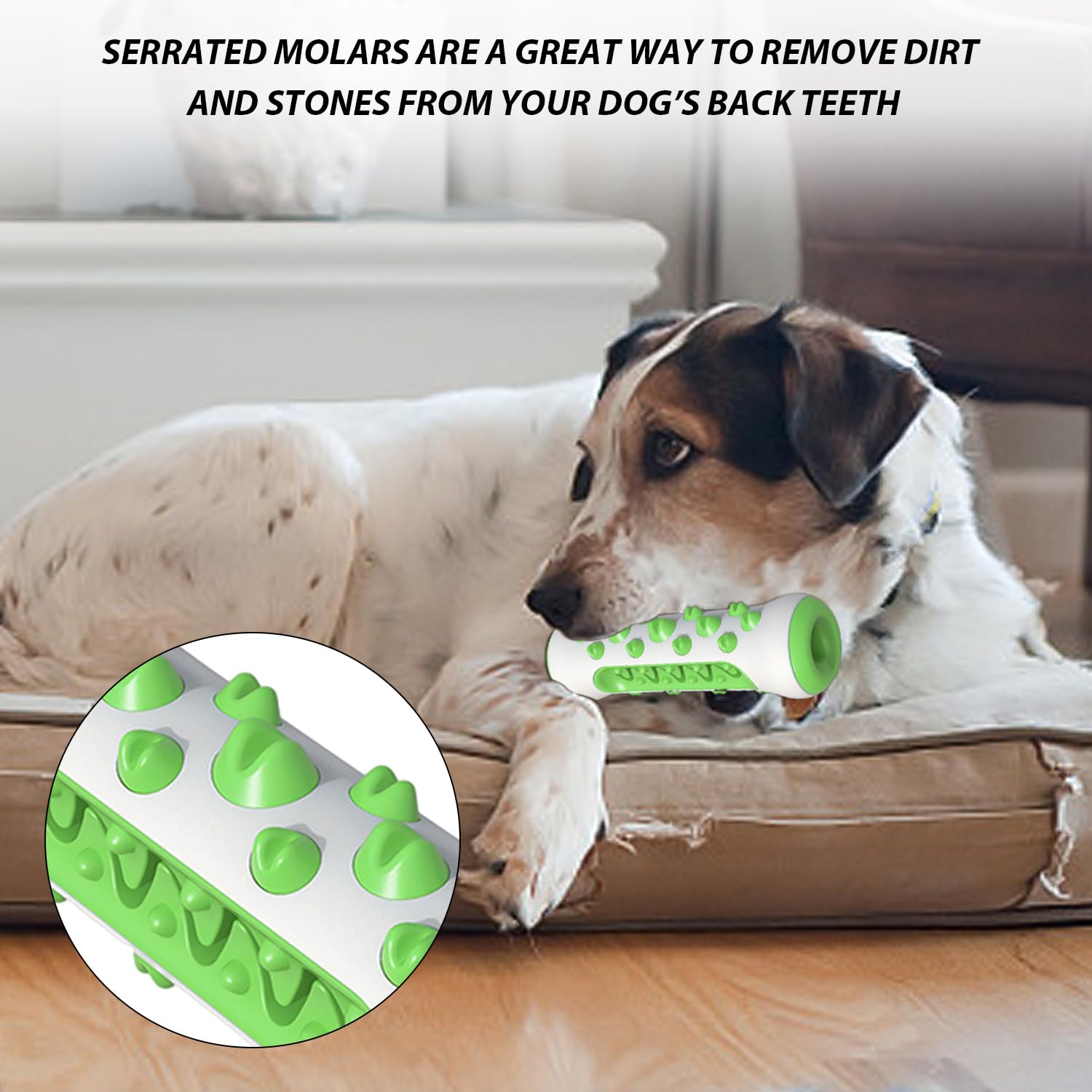 Giocattolo Masticatorio Per Cuccioli - Osso In Nylon Per Dentizione E Pulizia Denti - Foto 8