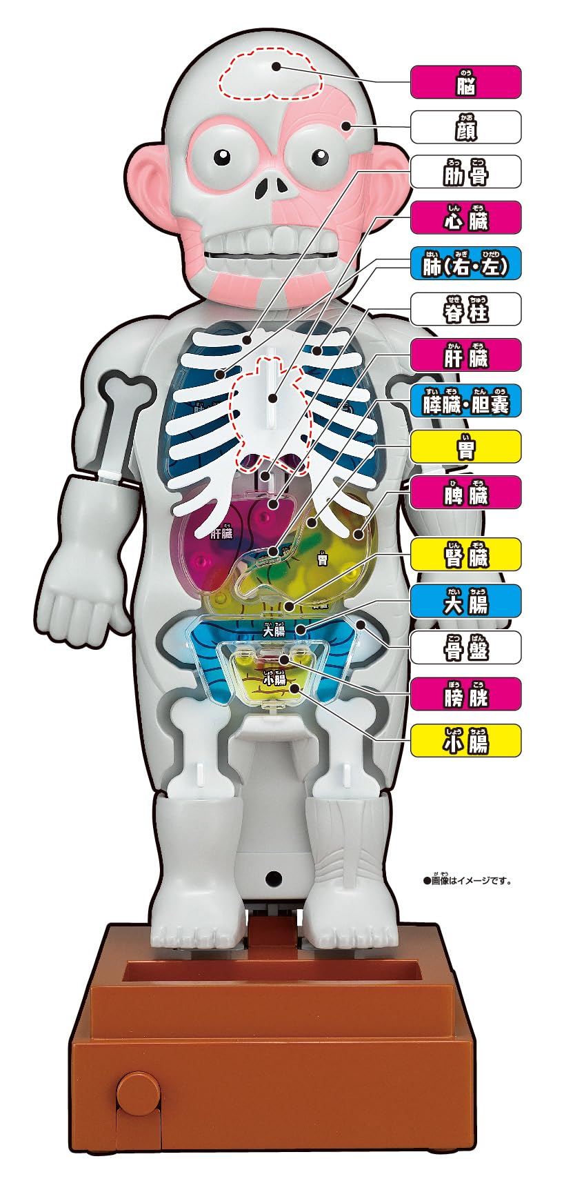 Amazon.co.jp: megahouse Super Crash Human Body Model Action Game 6