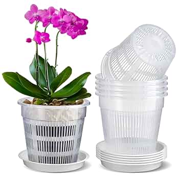 蘭鉢 71vJTtCAs0L._UF350,350_QL50_.jpg