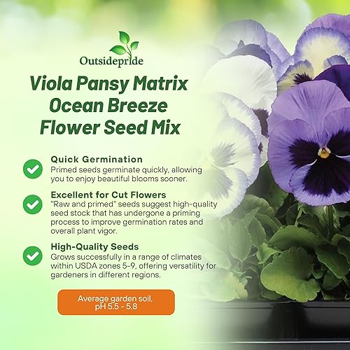 Miniatura 3 de Outsidepride Ocean Breeze Mix - Semillas de pensamiento para plantar, 50 piezas. Flores biennales, resistentes al frío y aptas para polinizadores