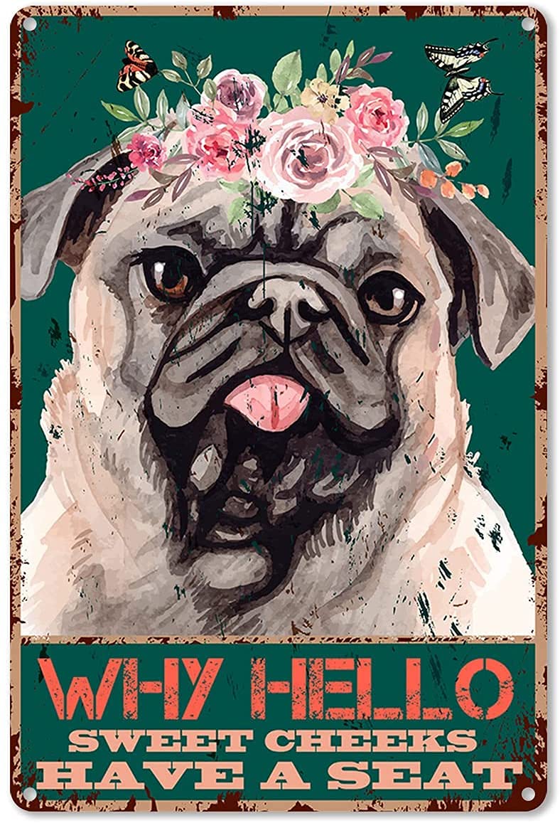 AZOLID Vintage Metal Tin Signs Why Hello Sweet Cheeks Have A Seat Tin Signs Vintage Funny Bar Club Cave Home Kitchen Wall Decor 14X20CM