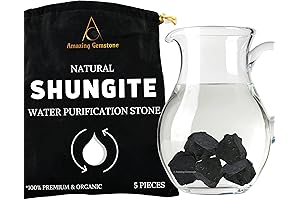 Raw Shungite Stones Crystal Rock Bracelet for Water Purification