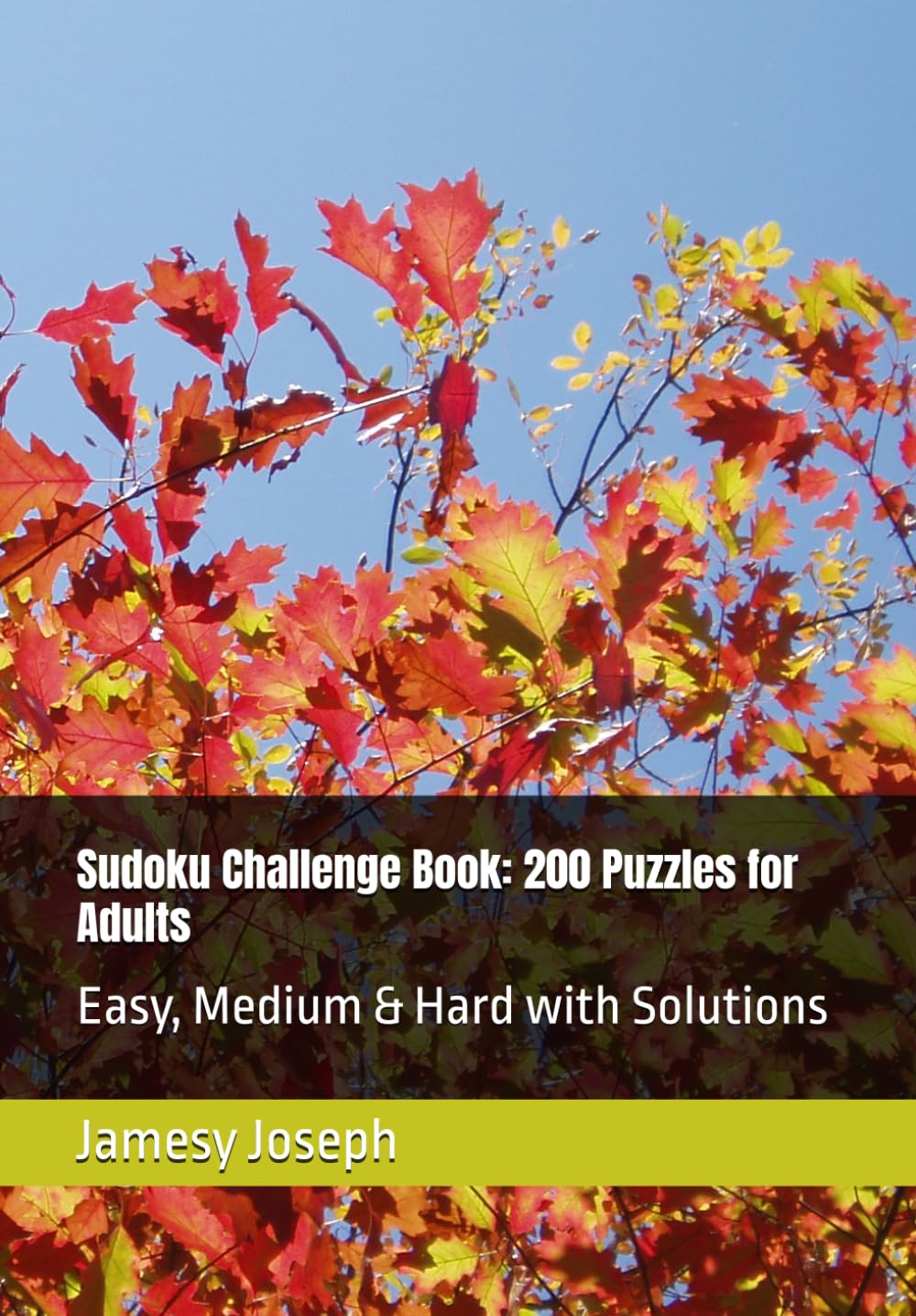 Sudoku Challenge Book: 200 Puzzles for Adults: Easy, Medium & Hard with Solutions