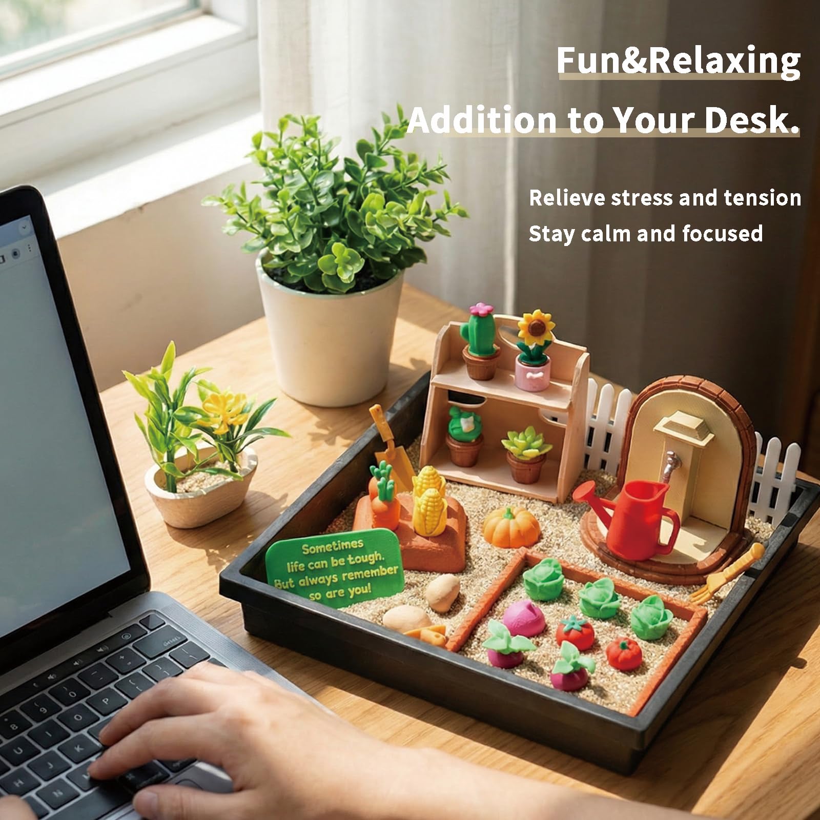 Amazon.com : Tian Zhun Gardening Gifts for Women Mini Zen Garden