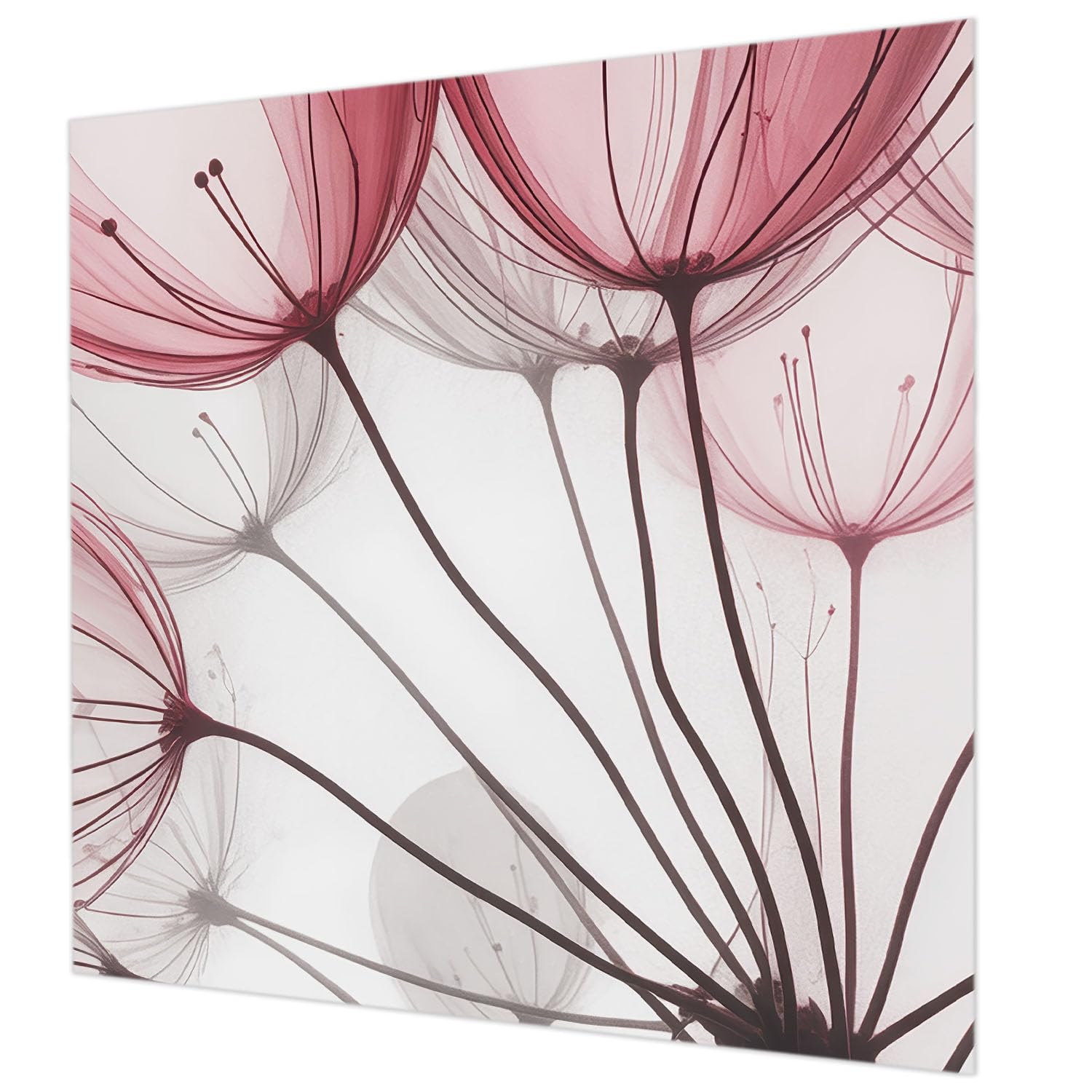 Papier peint salon et chambre à coucher silhouettes florales 250x250