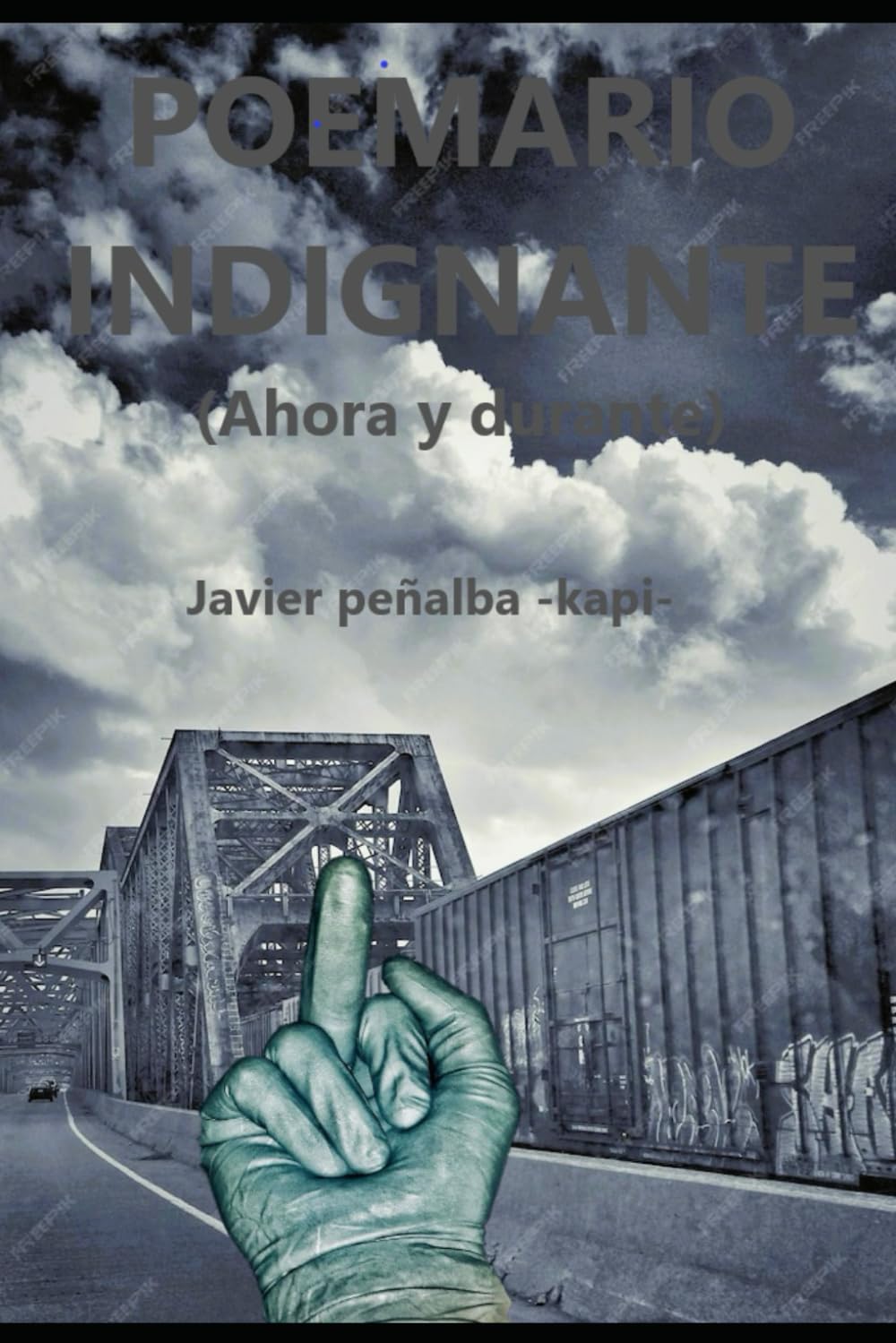 POEMARIO INDIGNANTE: (ahora y durante) (POESÍA INDIGNADA)