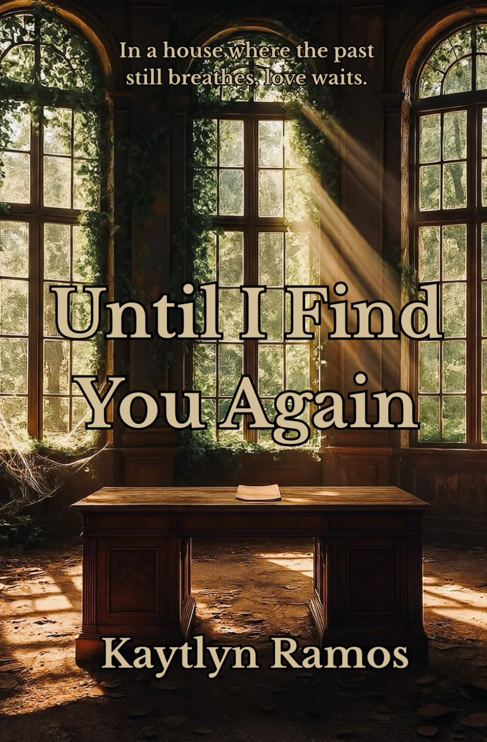 Until I Find You Again