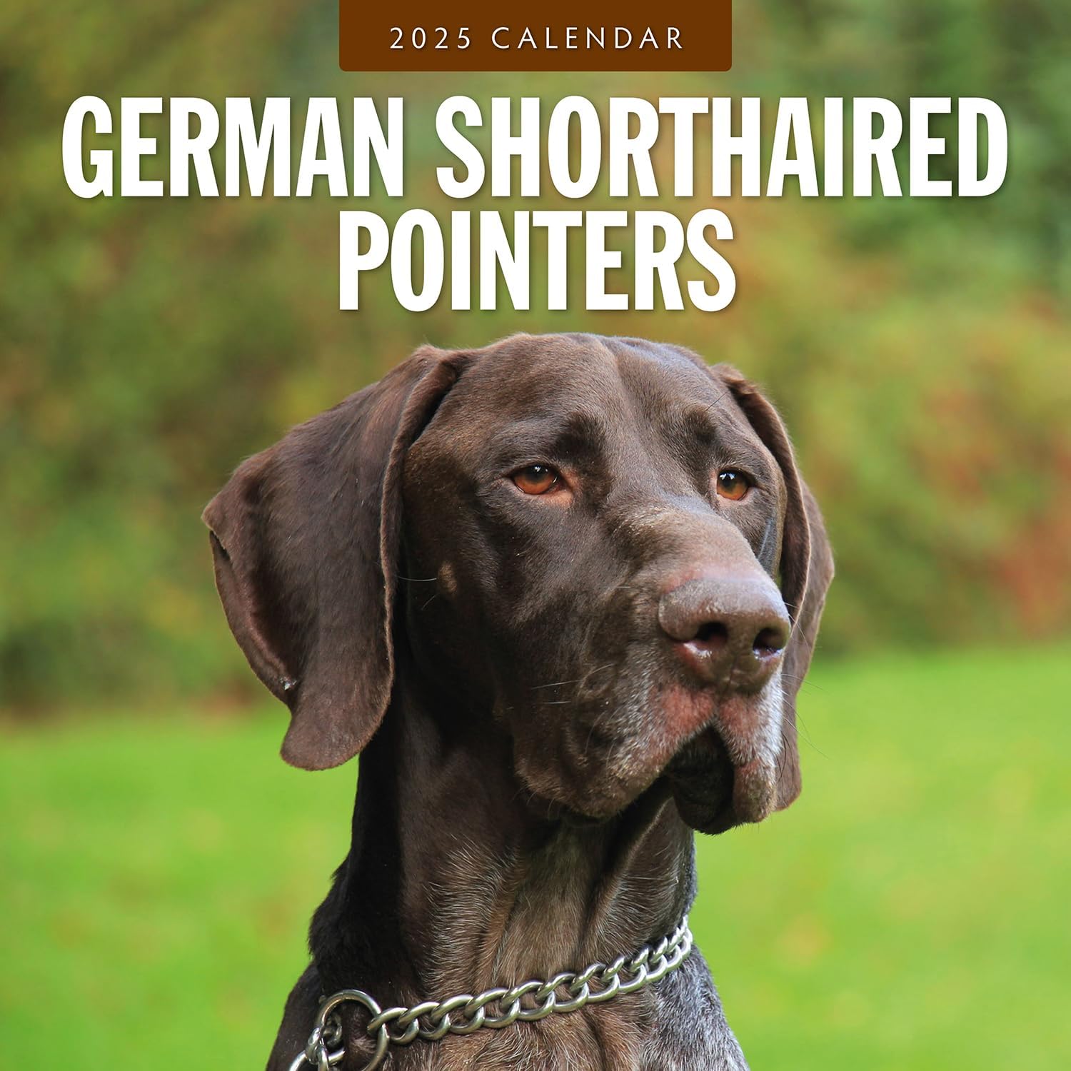 Red Robin 2025 German Shorthaired Pointers Monthly Wall