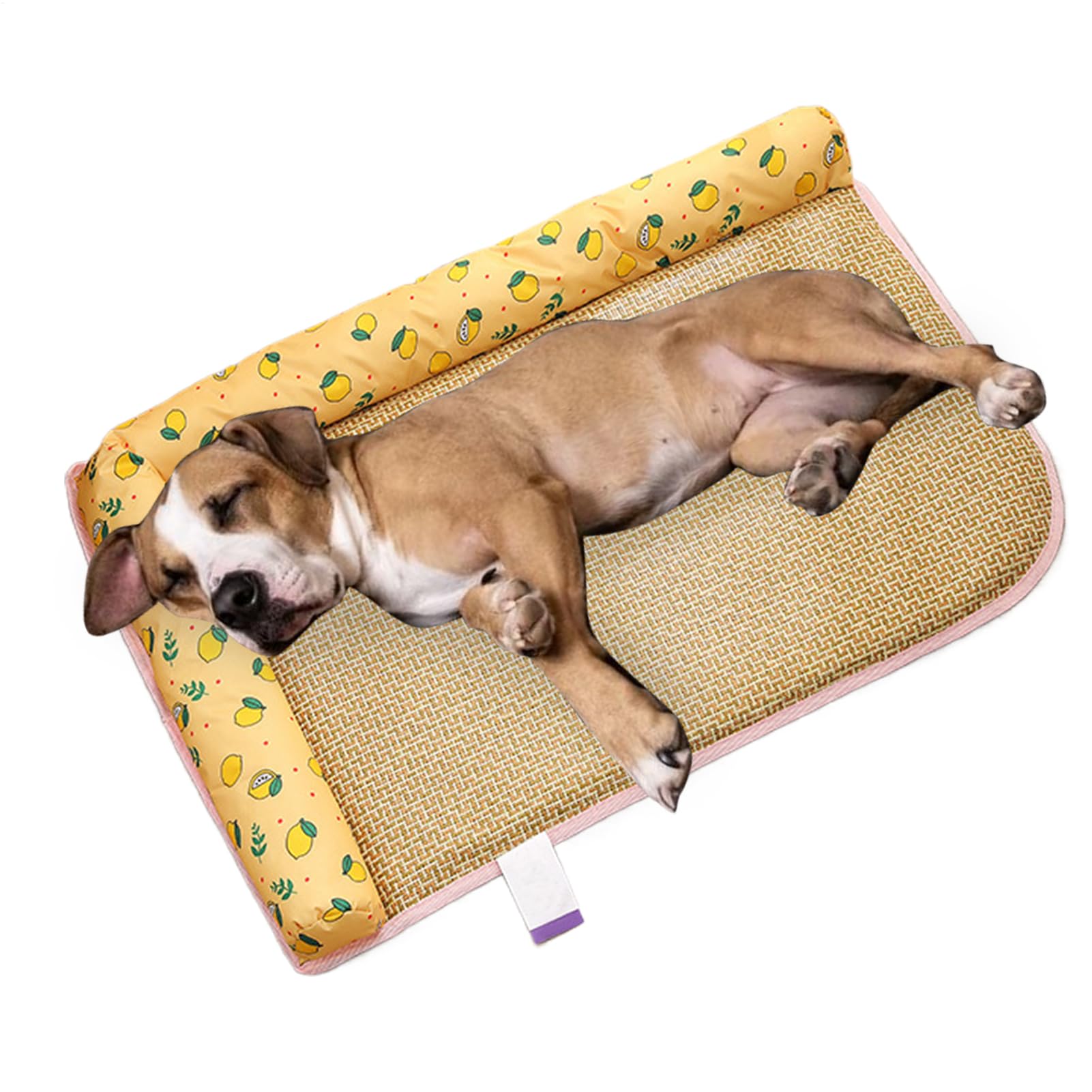 Coussin rafraîchissant pour chat et chien avec nid respirant de jardin