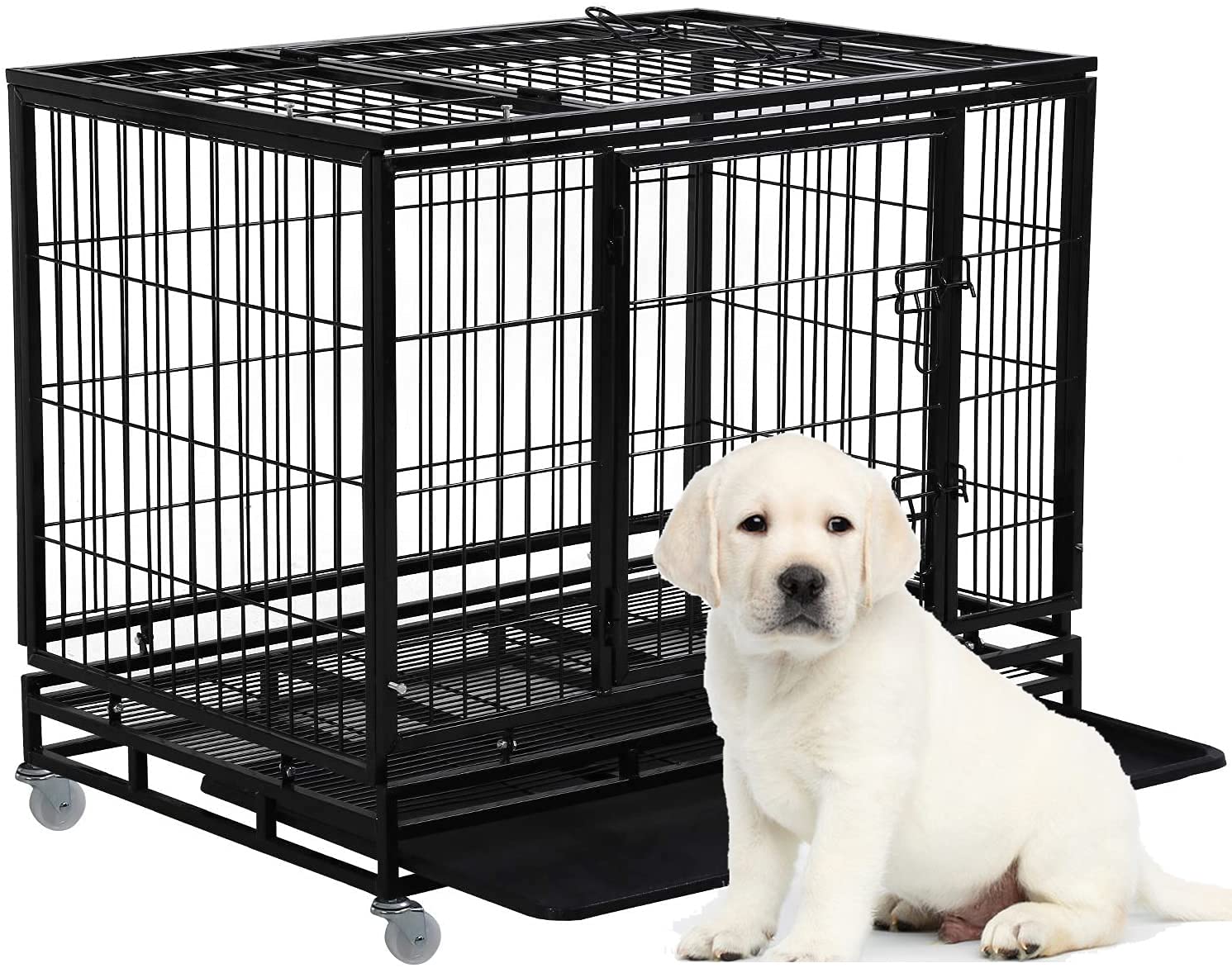 HGS Dog Crate
