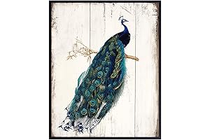 Vintage Mid Century Peacock Wall Decor