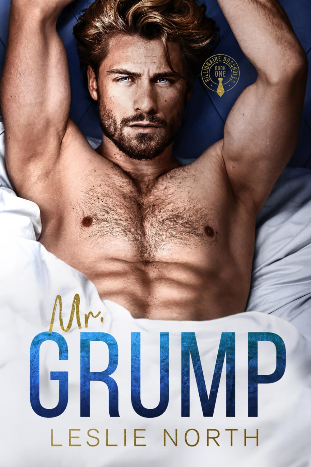 Mr. Grump (Billionaire Bossholes)