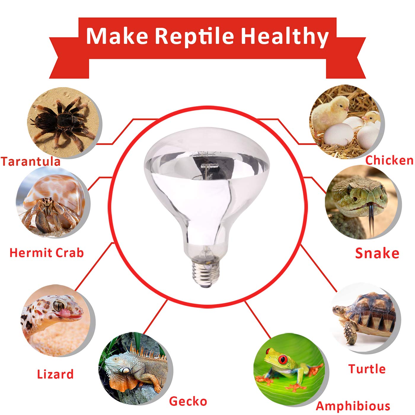 AIICIOO UVB UVA Bombilla Calor de Reptiles y Anfibios Promover la Síntesis D3 para Tortuga/Camaleón/Serpiente/Polluelo E27 220-240V 125W