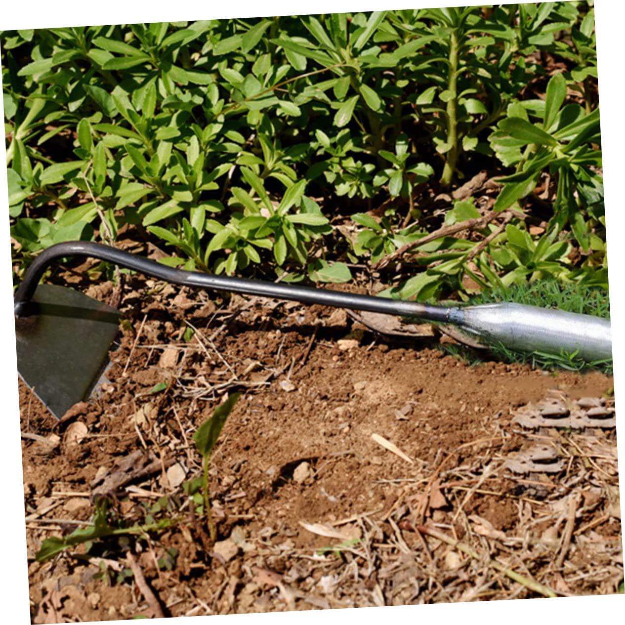 Abaodam 2 Sätze Teiliges Gartengeräte Aus Edelstahl Handliche Robuste Gartenhacke Für Unkrautjäten Und Aussaat Leichtes Langlebiges Werkzeug Für Haus Und Outdoor Gartenarbeiten 2 Stück * 2