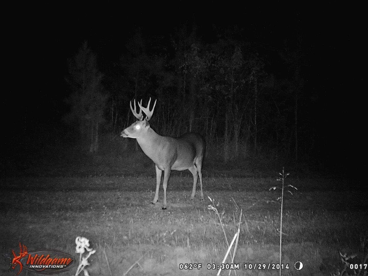 Exclusive Discount 🔥 Wildgame Innovations 360 Degree 12 Megapixel Trail Camera, R12i20-9 Cheapest 🛒 Wildgame Innovations 360 Degree 12 Megapixel Trail Camera, R12i20-9