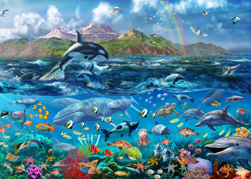 Amazon.com: Posterazzi Ocean Scene (Variant 1) Poster Print by