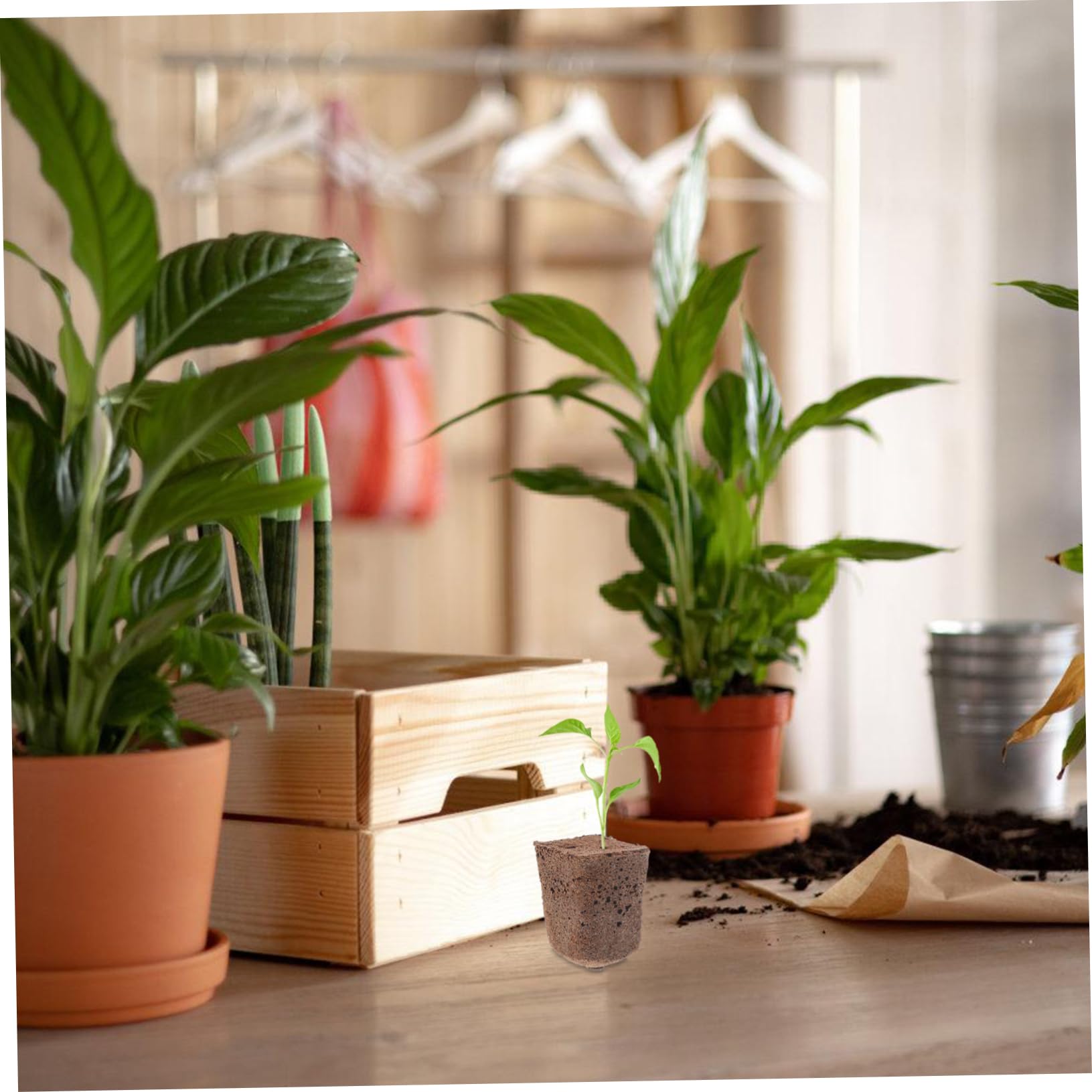 POPETPOP 120 Pièces Bloc d'éponge de terreau Potager Cubes nutritifs pour Plantes éponges hydroponiques Floral Fournitures de Jardin de Cubes de Croissance Petit Fleurs