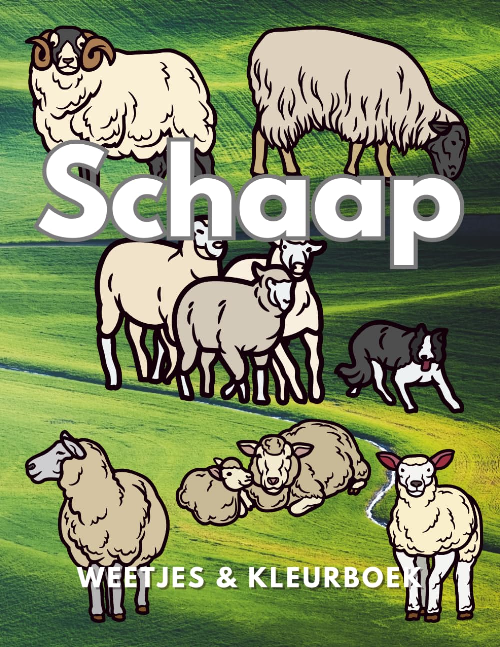 Schapen: Feiten & Kleurboek: Activiteitenboek voor kinderen van 2 tot 12 jaar (Dierenfeiten & Kleuren)