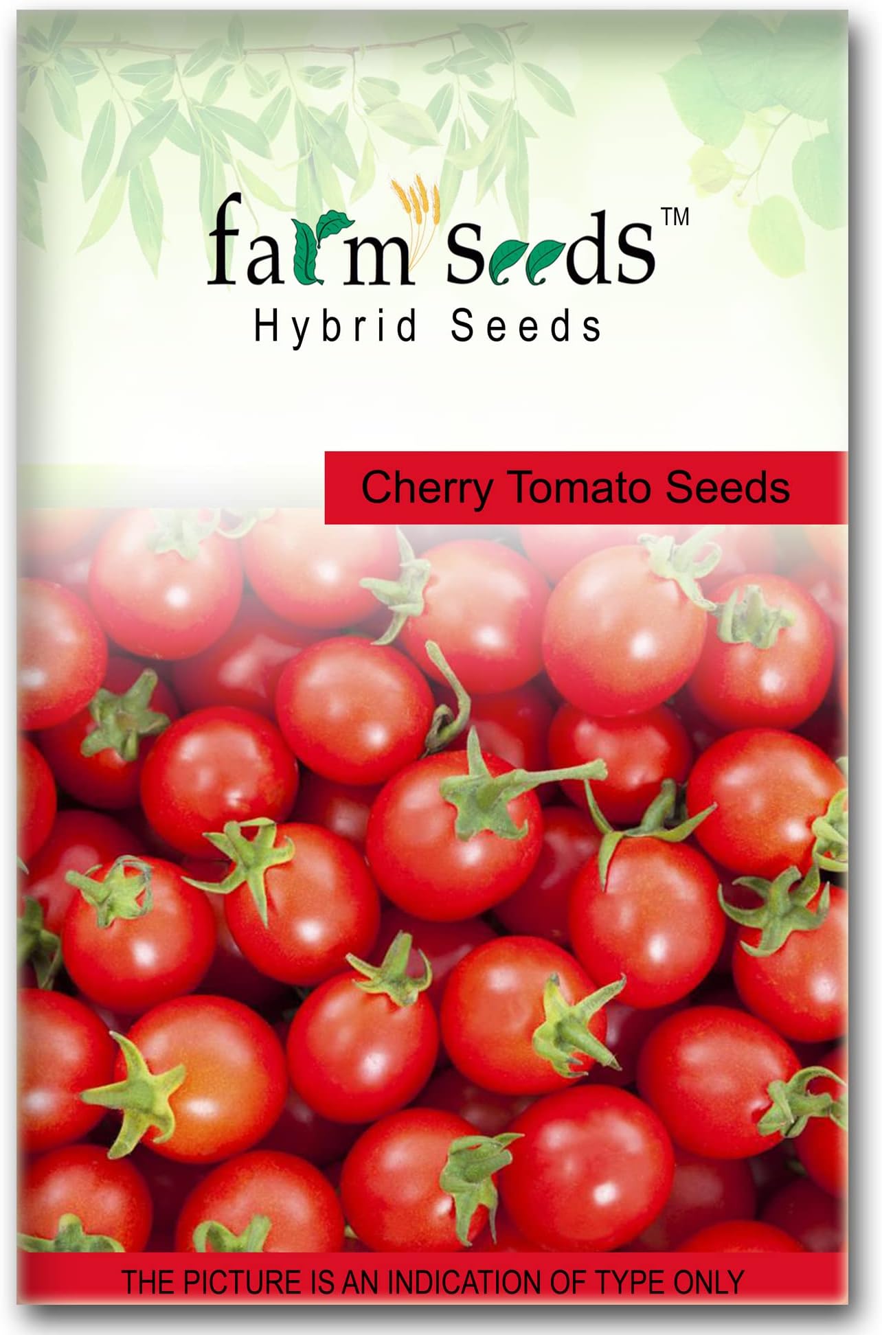 FARM SEEDS Hybrid Cherry Tomato 1 Packet Seeds Seed (100 per packet)