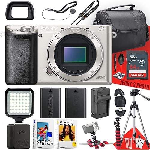 Sony Alpha a6000 Mirrorless Digital Camera (Silver, Body Only) + 64 GB Memory + Extra Battery + Spider Tripod + Case + Tripod + LED Light + Battery Charger + More (21pc Bundle) (Renewed)