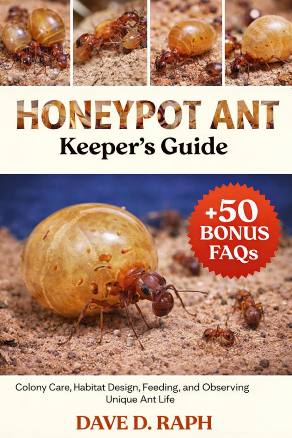 Honeypot Ant Keeper’s Guide: Colony Care, Habitat Design, Feeding, and Observing Unique Ant Life