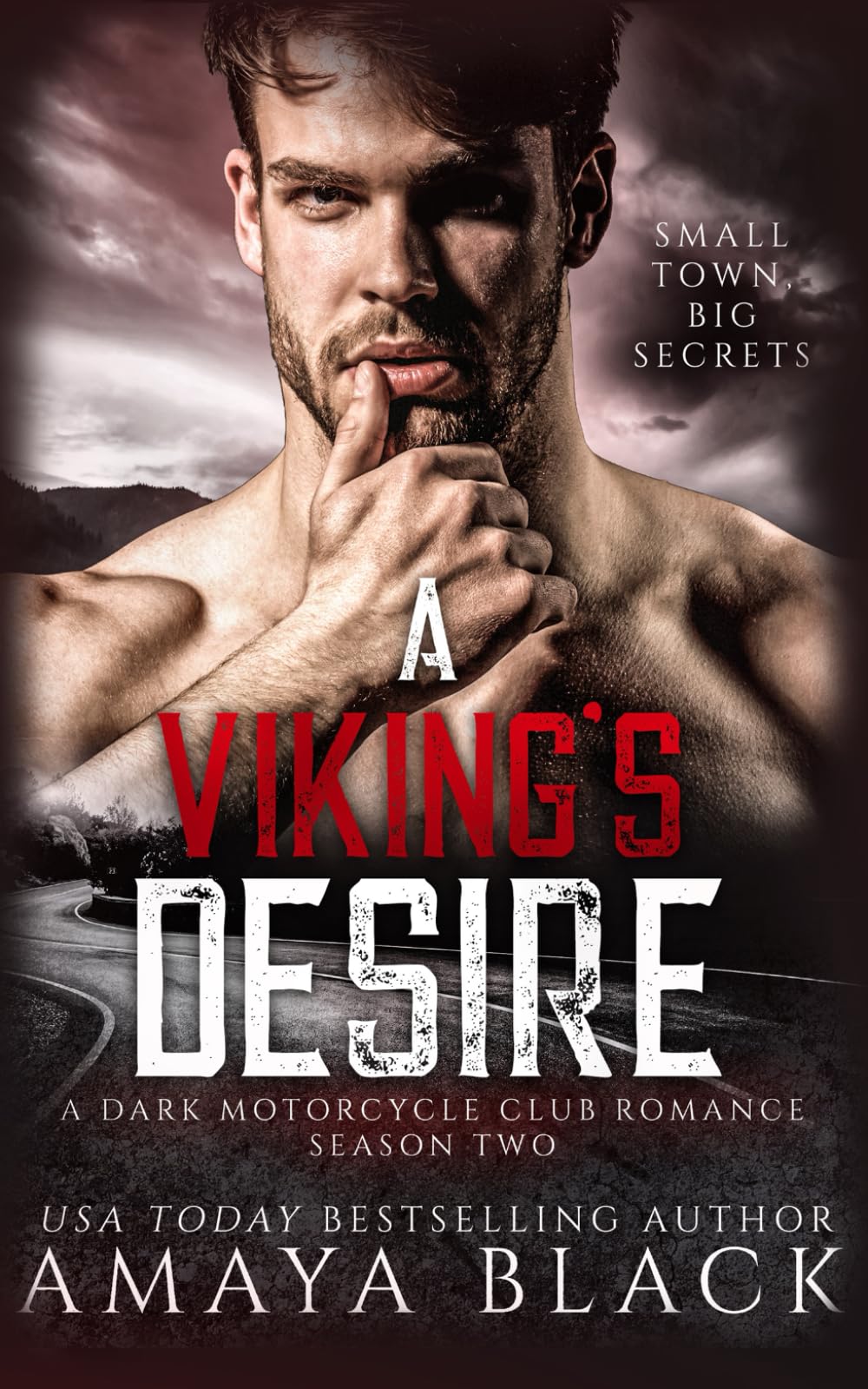 A Viking's Desire: Season Two: A Dark Motorcycle Club Romance