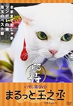 いやし猫DVD 猫侍 まるっと玉之丞