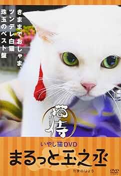 ねこ侍 黒猫侍 (徳間文庫 601-6) | 五味 康祐 |本 | 通販 | Amazon