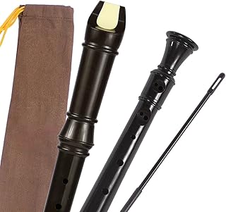 soprano recorder instrument Multi-color Optional Recorder Flute Beginner Professional Flute Musical Instrument 8 Holes (Color : 03)