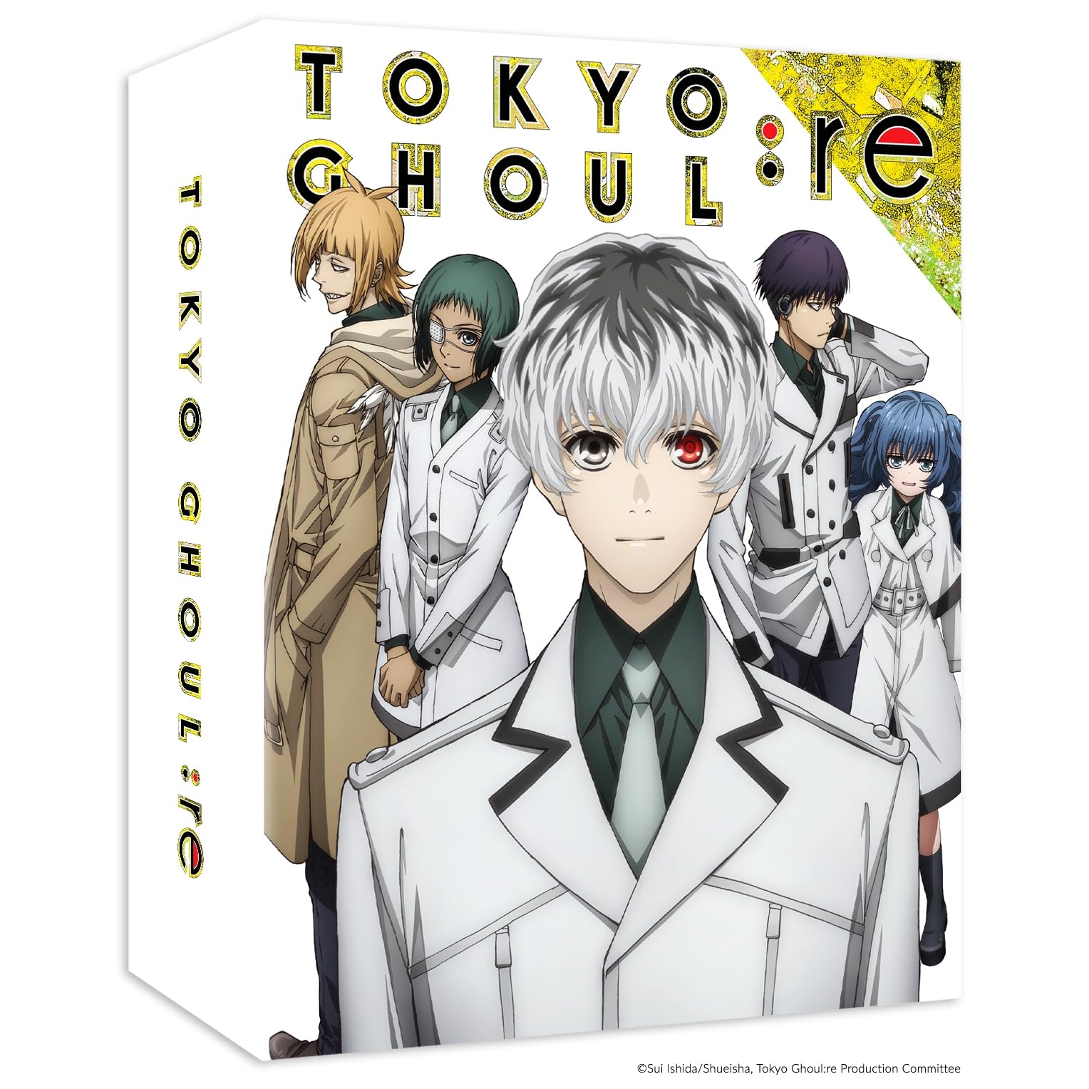 Tokyo Ghoul:re - Edition Intégrale Collector DVD