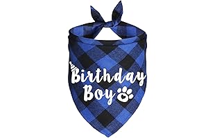 Personalized Birthday Bandana for Dogs