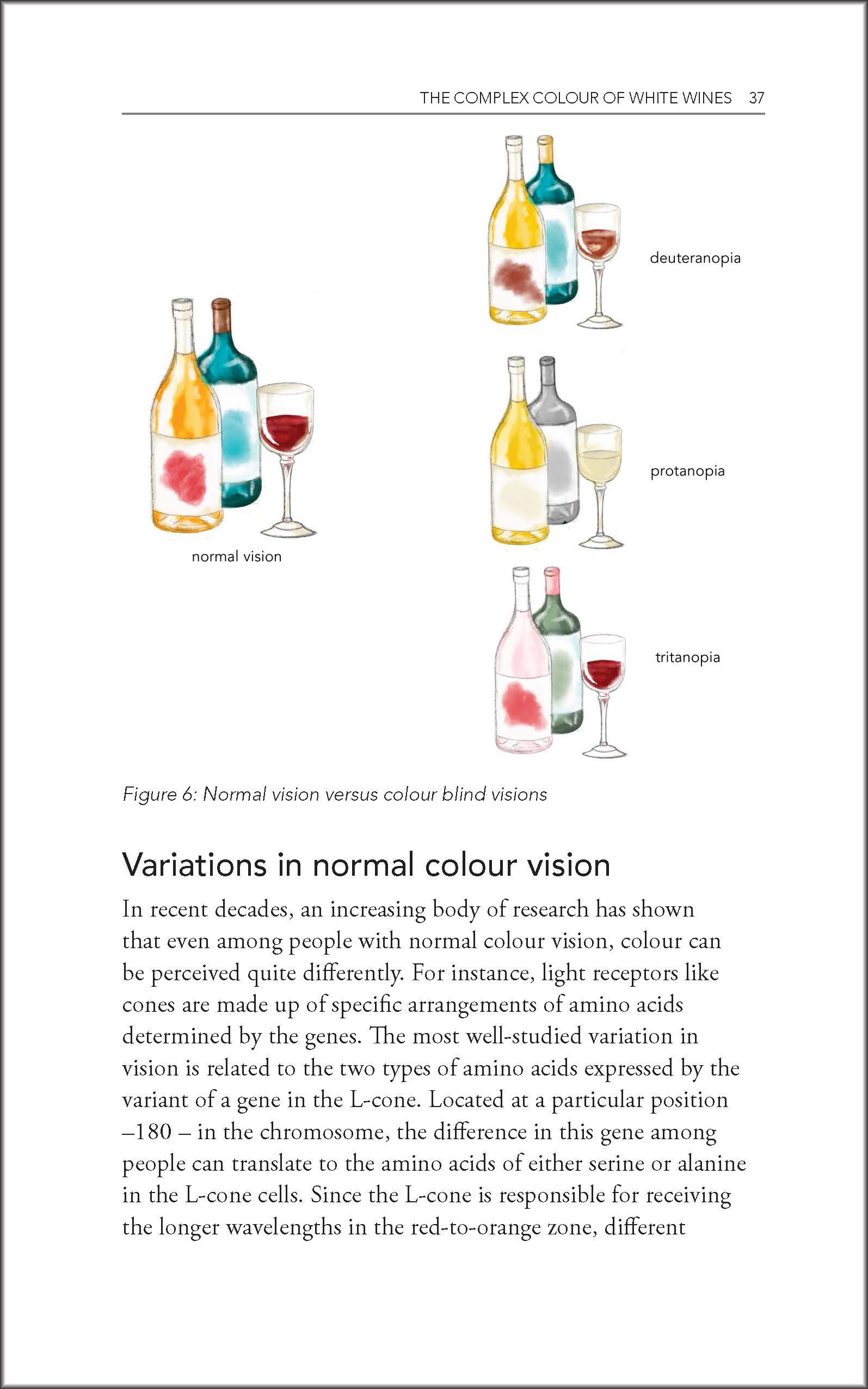 Behind the Glass: The Chemical and Sensorial Terroir of Wine Tasting