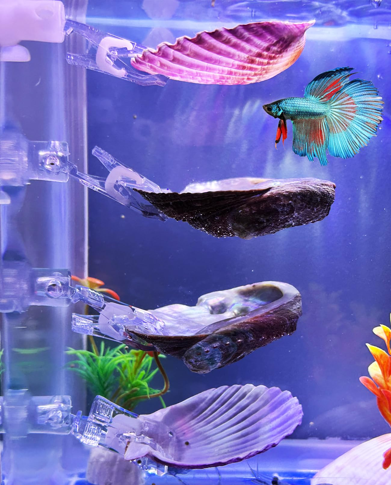 VCEPJH Betta Resting Spot 4 Pcs Shell Bed Toys for Aquarium Betta Hammock with Suction Cups Small Fish Natural Spawning Grounds Breeding Fish Tank