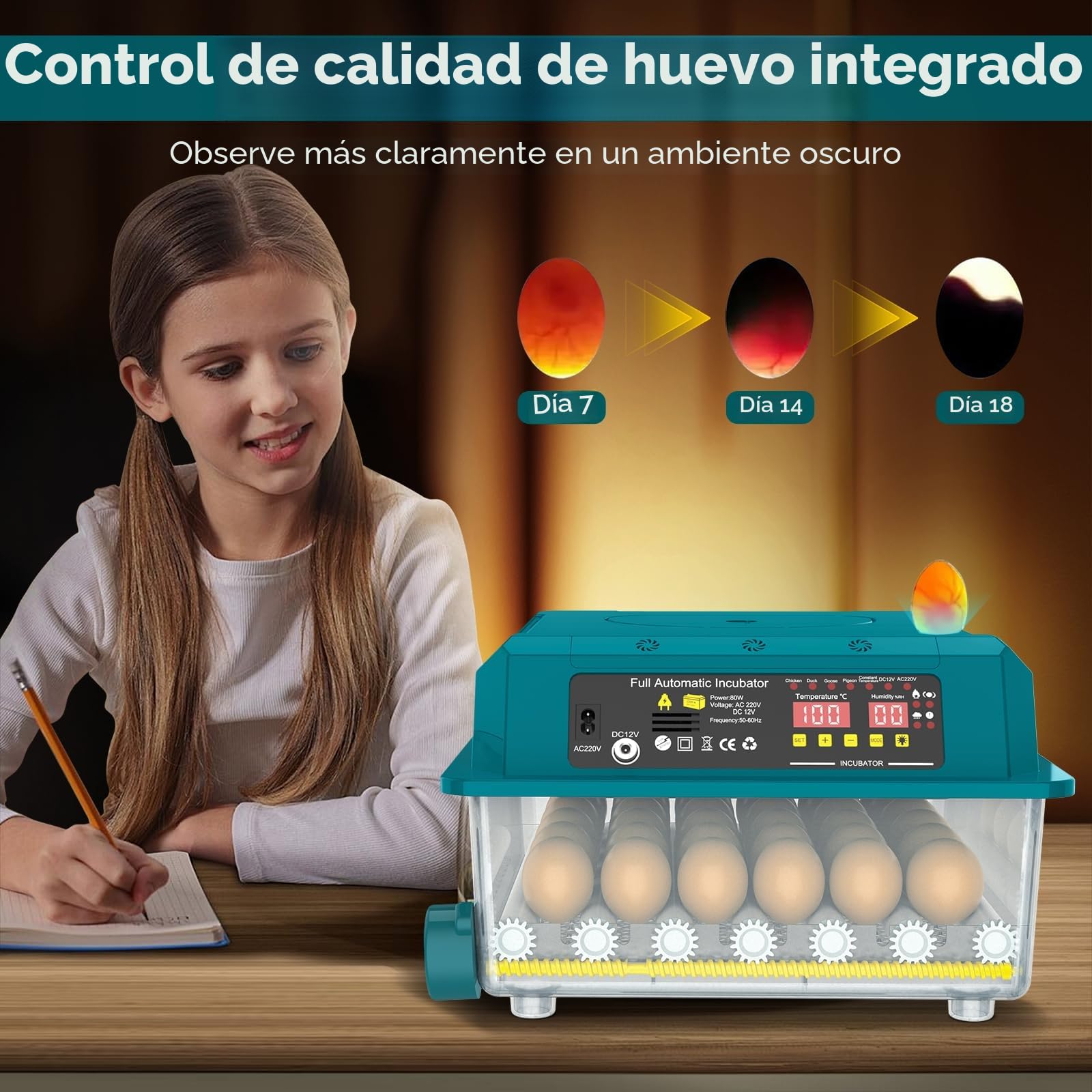 Incubadora Automática de Huevos 36 Huevos, Incubadora de Huevos con 5 Modos Preestablecidos, Volteado Automático de Huevos y Control de Humedad, Luz de Comprobación de Huevos, Incubadoras para Pollo